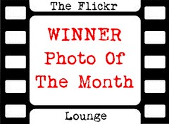 photo of the month